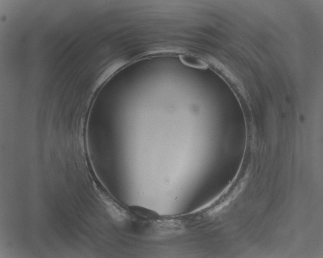 X0000051241137200506241515