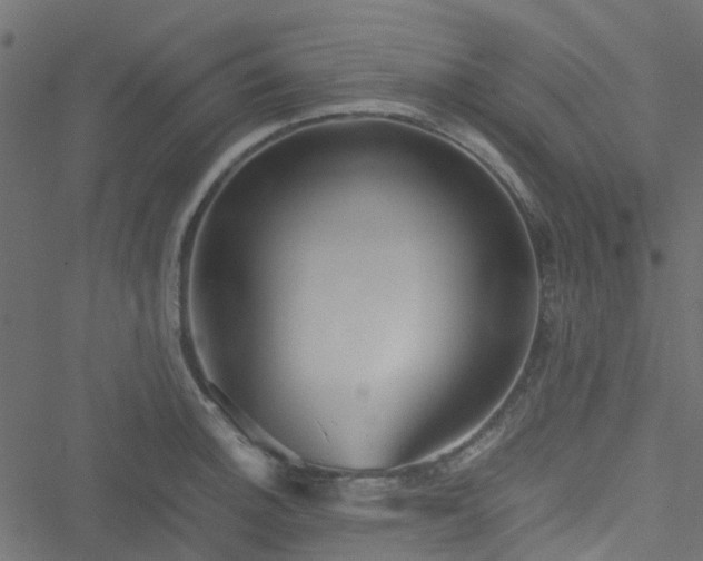 X0000051241140200506241515