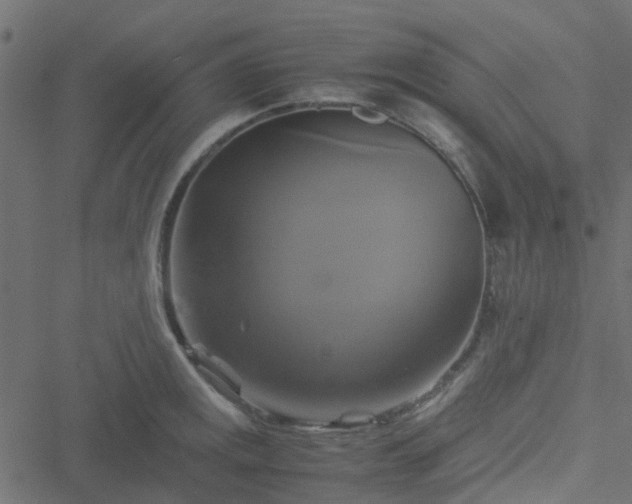 X0000051241141200506241515