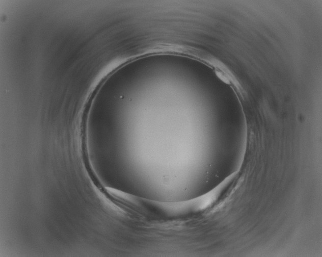 X0000051241143200506241515