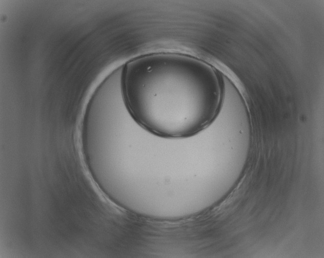 X0000051241144200506241515