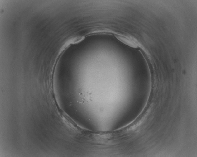 X0000051241145200506241515