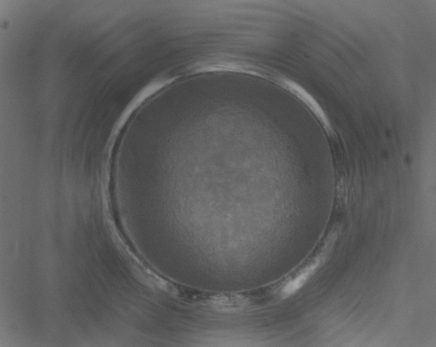 X0000051241146200506241515