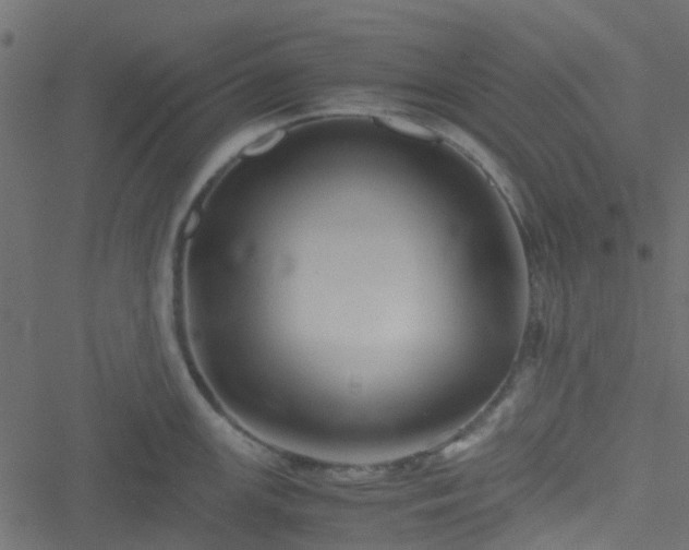 X0000051241147200506241515