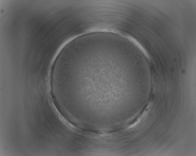 X0000051241148200506241515