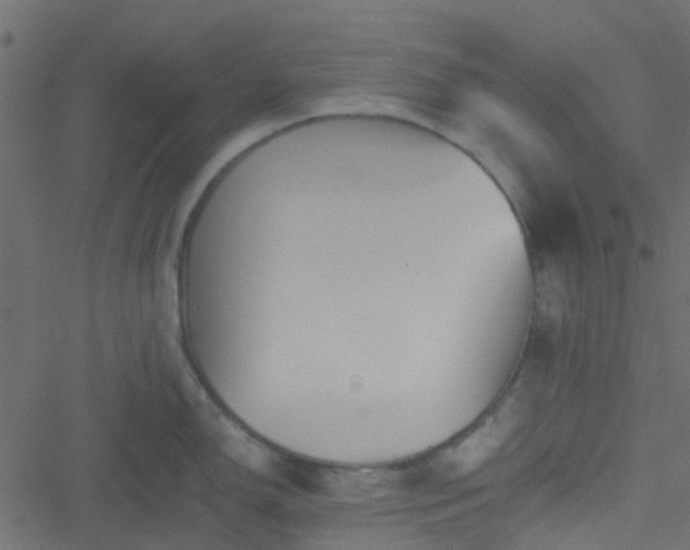 X0000051241150200506241515