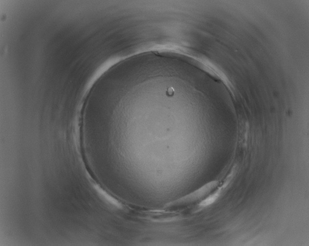 X0000051241151200506241515