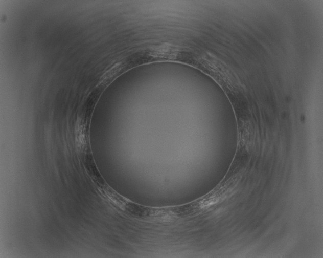 X0000051241154200506241514