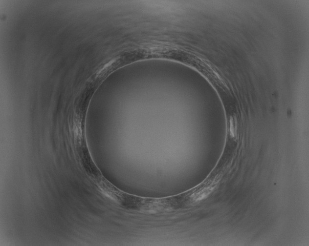 X0000051241155200506241514