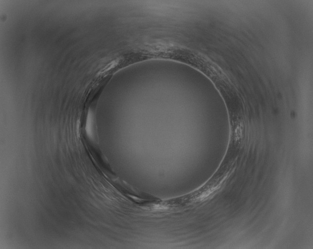 X0000051241156200506241514