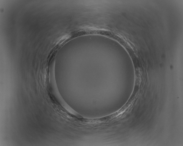 X0000051241157200506241514