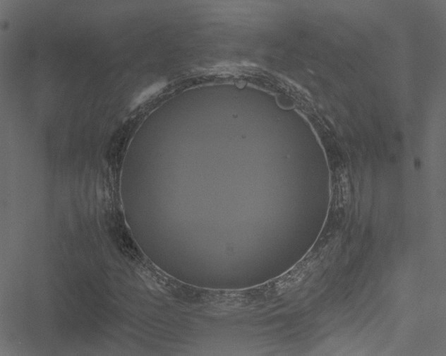 X0000051241158200506241514