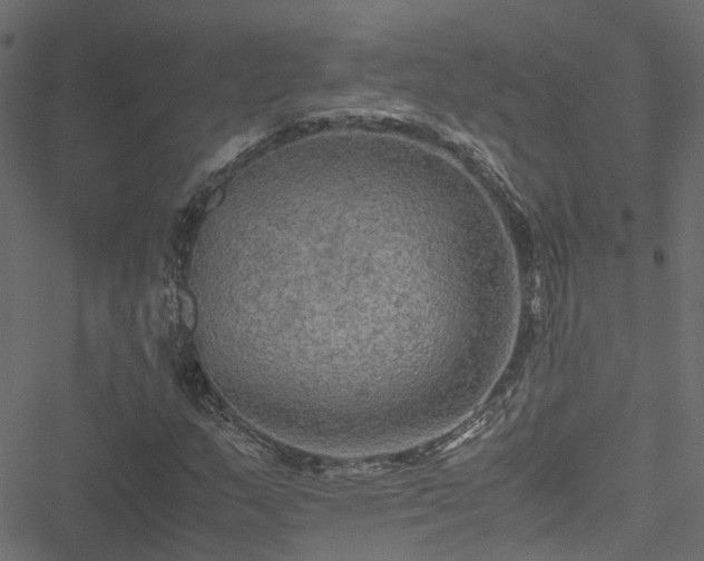 X0000051241159200506241514