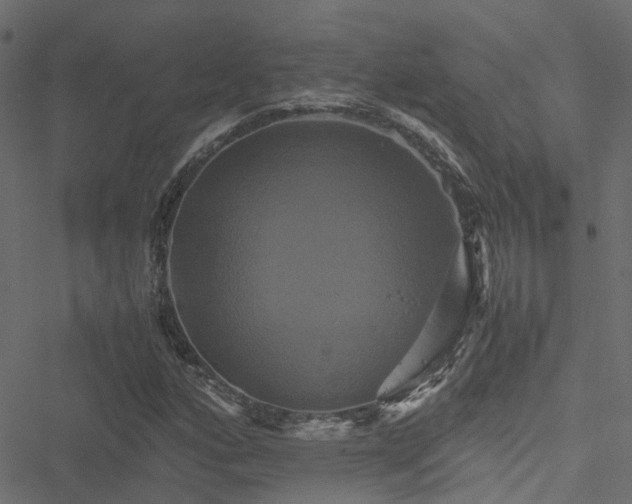 X0000051241160200506241514