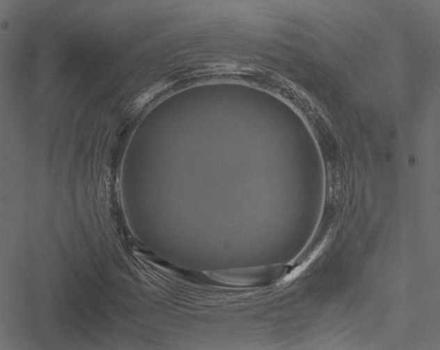 X0000051241161200506241514