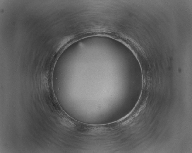 X0000051241162200506241514