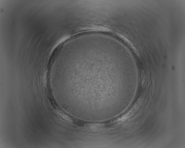 X0000051241163200506241514