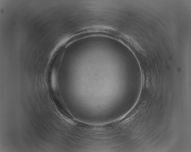 X0000051241164200506241514