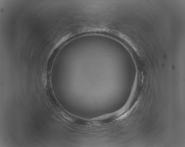 X0000051241165200506241514