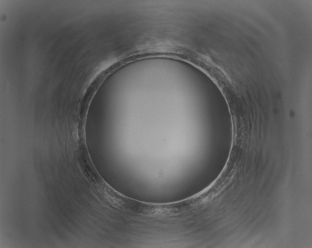 X0000051241166200506241514