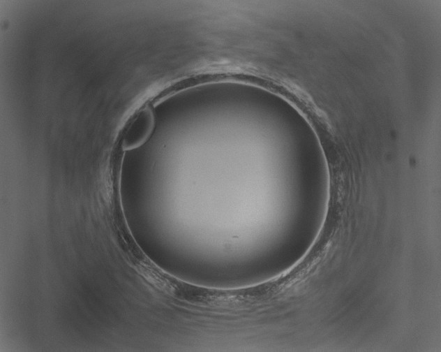 X0000051241167200506241514