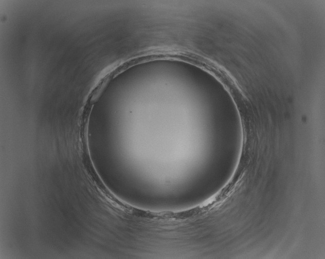 X0000051241168200506241514