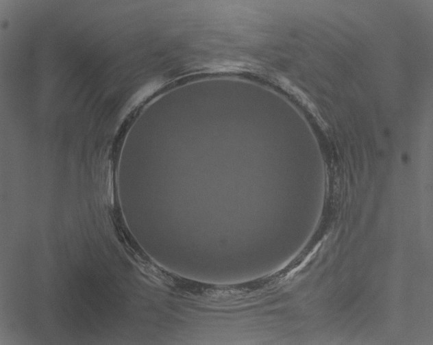 X0000051241171200506241514