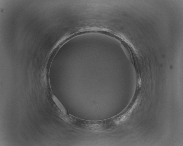 X0000051241173200506241514