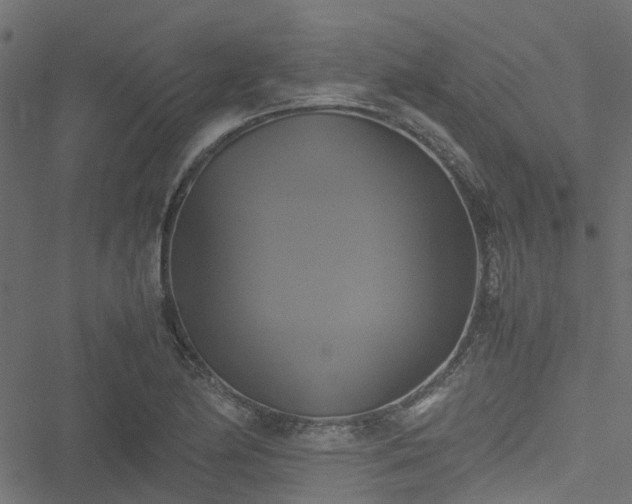 X0000051241174200506241514