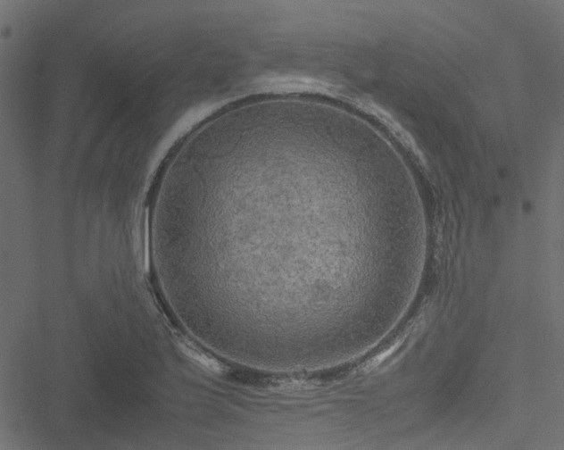 X0000051241175200506241514