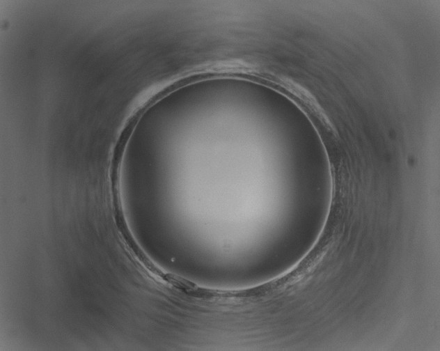 X0000051241176200506241514