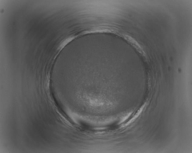 X0000051241177200506241514