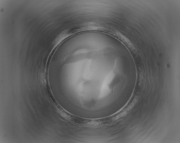 X0000051241178200506241514