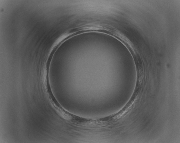 X0000051241179200506241514