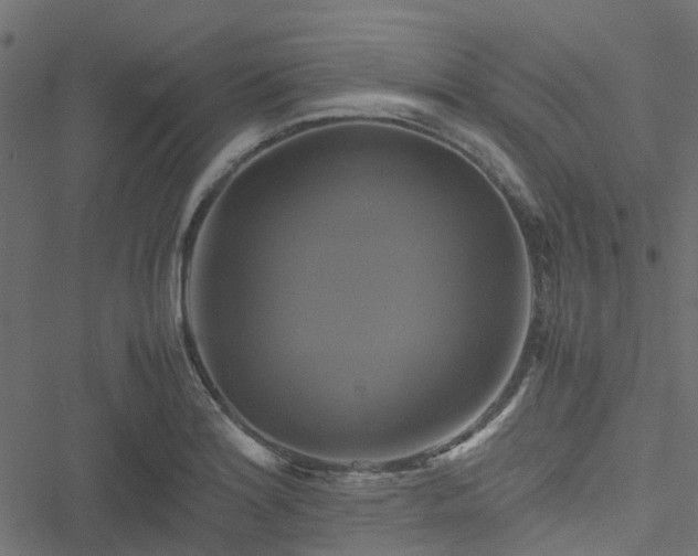 X0000051241180200506241514