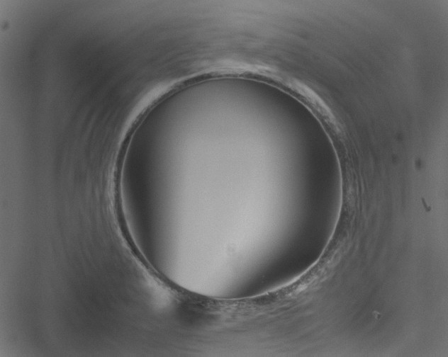 X0000051241183200506241514