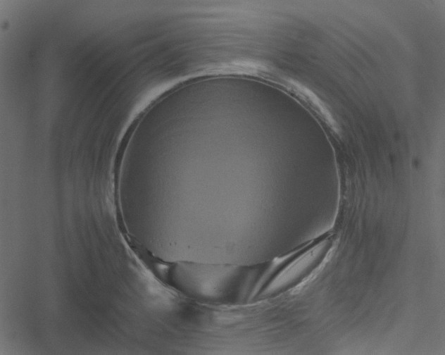 X0000051241184200506241514