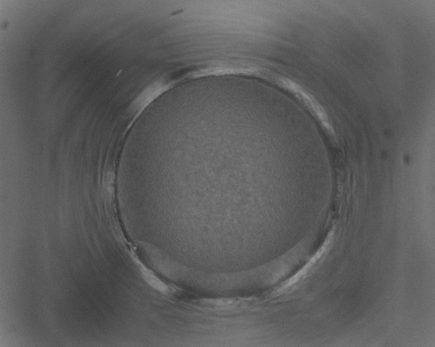 X0000051241185200506241514