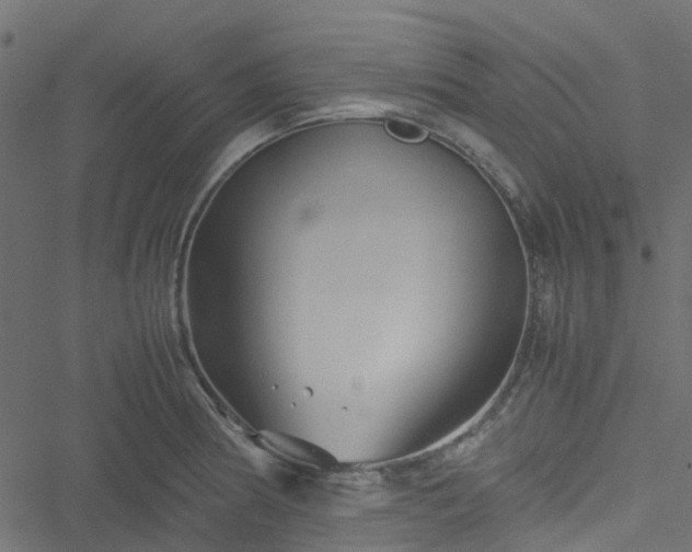 X0000051241186200506241514