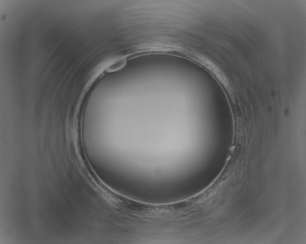 X0000051241187200506241513