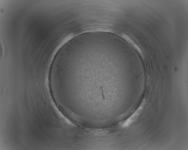 X0000051241189200506241513