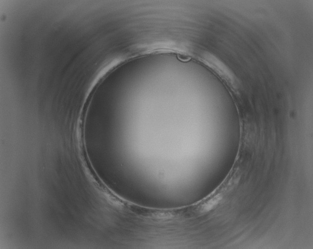 X0000051241190200506241513