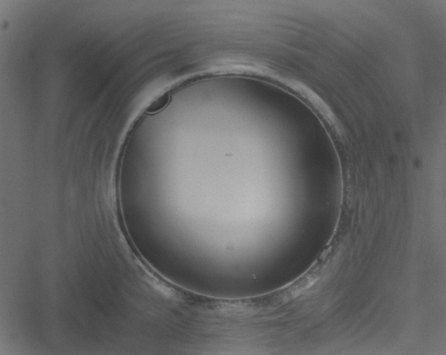 X0000051241191200506241513