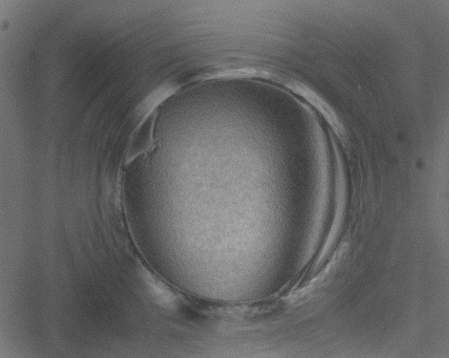 X0000051241193200506241513