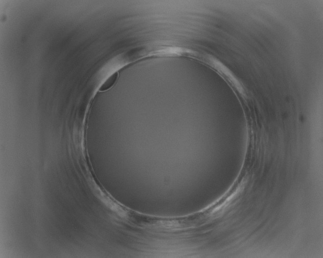 X0000051241194200506241513