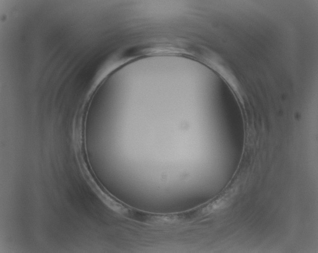 X0000051241195200506241513