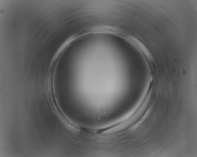 X0000051241196200506241513