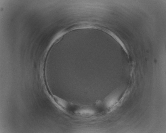 X0000051241197200506241513