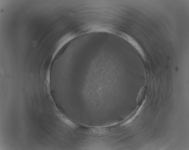 X0000051241198200506241513