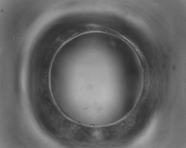 X0000051241199200506241513